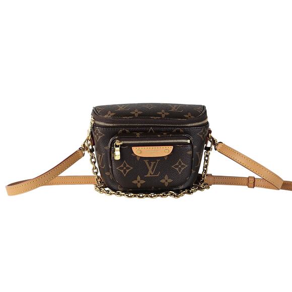 Louis Vuitton Monogram Mini Bumbag - Picture 1 of 7